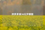 拼多多领700元步骤图