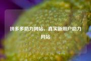 拼多多助力网站，真实新用户助力网站