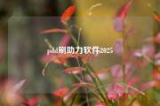 pdd刷助力软件2025
