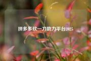 拼多多砍一刀助力平台2025