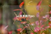 pdd多多助力2025