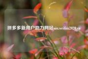 拼多多新用户助力网站xin.weifan2020.cn