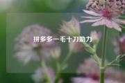 拼多多一毛十刀助力
