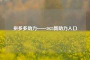 拼多多助力——2025新助力入口