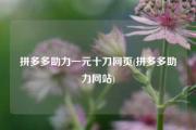 拼多多助力一元十刀网页(拼多多助力网站)