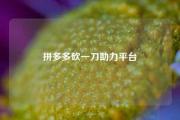 拼多多砍一刀助力平台
