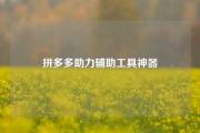 拼多多助力辅助工具神器