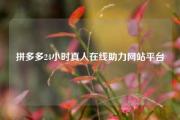 拼多多24小时真人在线助力网站平台
