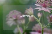 pdd助力平台