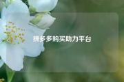 拼多多购买助力平台