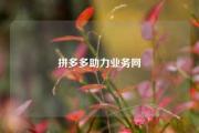 拼多多助力业务网