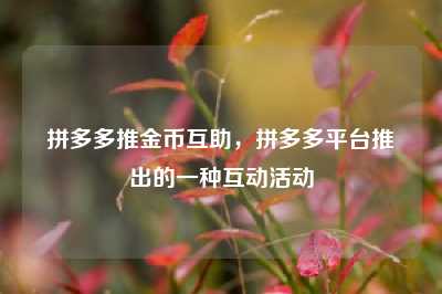 拼多多推金币互助,拼多多平台推出的一种互动活动