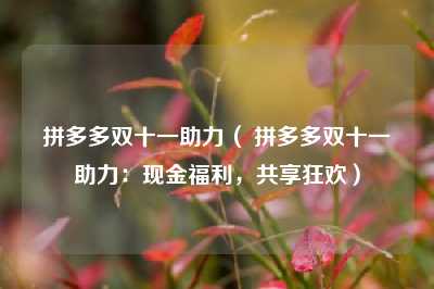 拼多多双十一助力( 拼多多双十一助力:现金福利,共享狂欢)