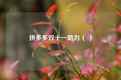 拼多多双十一助力( )
