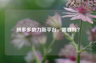 拼多多助力新平台，需要吗？