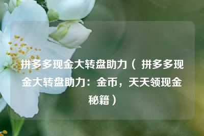 拼多多现金大转盘助力（ 拼多多现金大转盘助力：金币，天天领现金秘籍）
