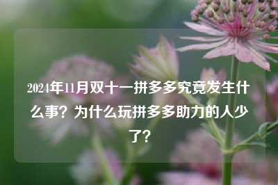 2024年11月双十一拼多多究竟发生什么事？为什么玩拼多多助力的人少了？