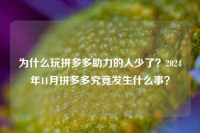 为什么玩拼多多助力的人少了?2024年11月拼多多究竟发生什么事?