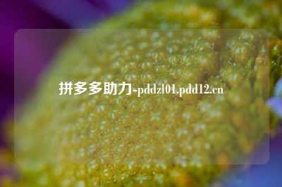 拼多多助力-pddzl01.pdd12.cn