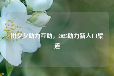 拼夕夕助力互助,2025助力新入口渠道