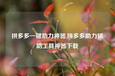 拼多多一键助力神器,拼多多助力辅助工具神器下载