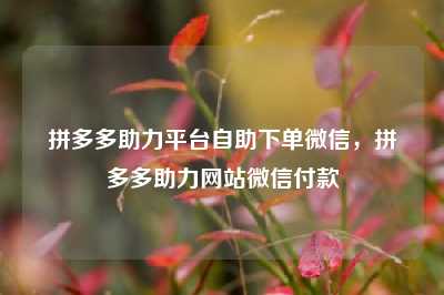 拼多多助力平台自助下单微信，拼多多助力网站微信付款