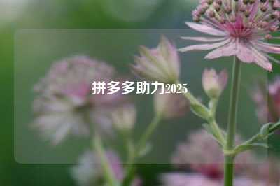 拼多多助力2025