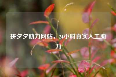 拼夕夕助力网站,24小时真实人工助力