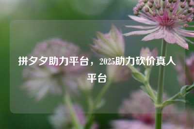 拼夕夕助力平台，2025助力砍价真人平台
