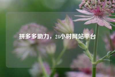 拼多多助力，24小时网站平台