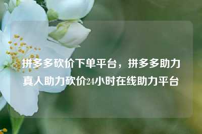 拼多多砍价下单平台,拼多多助力真人助力砍价24小时在线助力平台