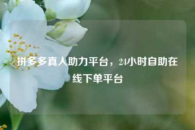 拼多多真人助力平台,24小时自助在线下单平台