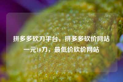 拼多多砍刀平台，拼多多砍价网站一元10刀，最低价砍价网站