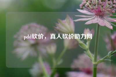 pdd砍价，真人砍价助力网