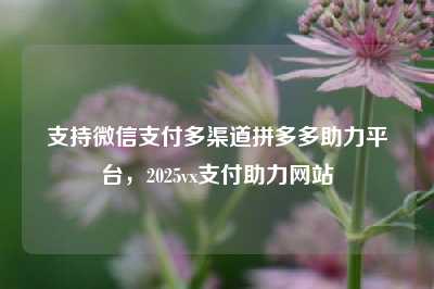 支持微信支付多渠道拼多多助力平台，2025vx支付助力网站