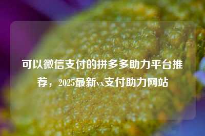 可以微信支付的拼多多助力平台推荐，2025最新vx支付助力网站