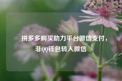 ✨拼多多购买助力平台微信支付，非QQ钱包转入微信