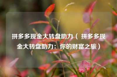 拼多多现金大转盘助力（ 拼多多现金大转盘助力：你的财富之旅）