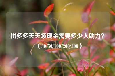 拼多多天天领现金需要多少人助力?(30/50/100/200/300)