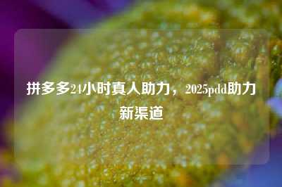 拼多多24小时真人助力,2025pdd助力新渠道