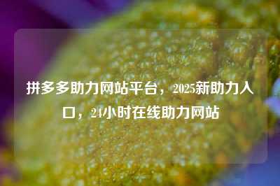拼多多助力网站平台，2025新助力入口，24小时在线助力网站