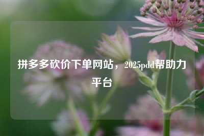 拼多多砍价下单网站,2025pdd帮助力平台