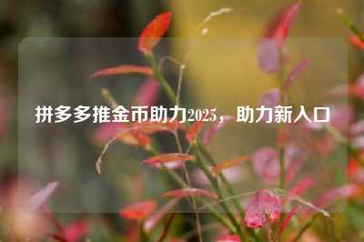 拼多多推金币助力2025，助力新入口