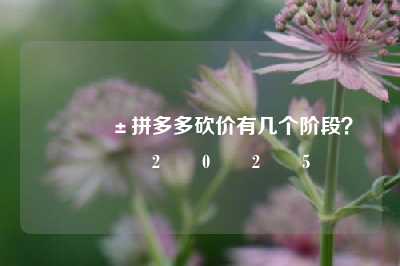 📱拼多多砍价有几个阶段？💕2️⃣0️⃣2️⃣5️⃣