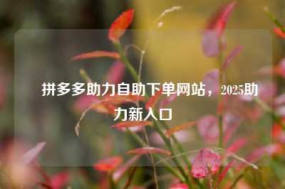 ✅拼多多助力自助下单网站，2025助力新入口