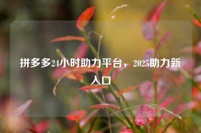 拼多多24小时助力平台，2025助力新入口