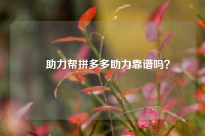 ❓助力帮拼多多助力靠谱吗？🔗