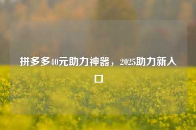 拼多多40元助力神器，2025助力新入口