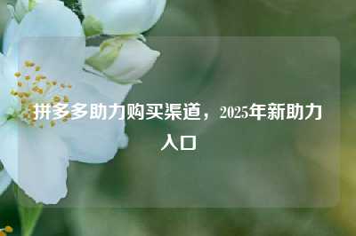 拼多多助力购买渠道,2025年新助力入口