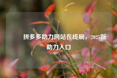 ✅✅拼多多助力网站在线刷，2025新助力入口